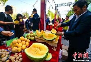 库尔勒吃瓜最新事件爆料,揭秘背后真相与网络热议背后的故事