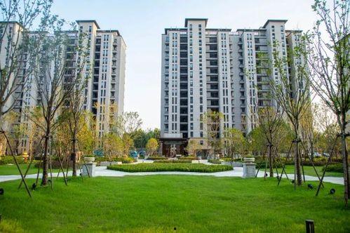 杭州临平爆料案件最新进展,疑点重重，案情再起波澜